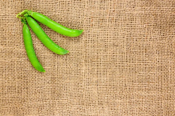 Vaina de guisantes verdes — Foto de Stock