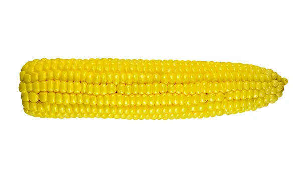 Fresh raw corn — Stock Photo, Image