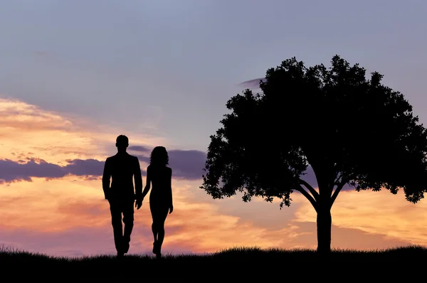 Silhueta de um casal que anda ao pôr do sol perto de uma árvore — Fotografia de Stock