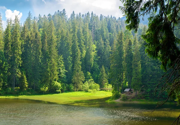 Mountain landscape in the forest near the lake — Stock Photo, Image