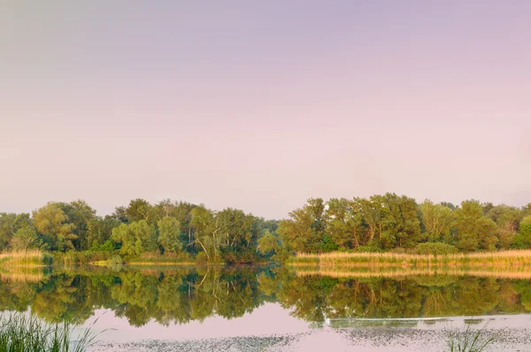 Forest landscape at the river at sunset — Stock Photo, Image