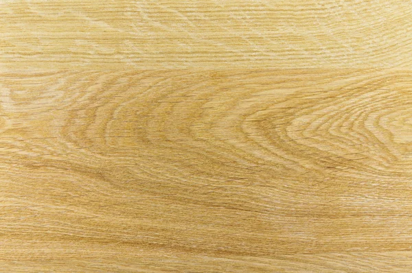 Wood texture in the context of the macro — Stock Photo, Image