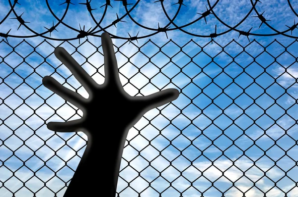 Silhouette hands refugee near the fence of barbed wire