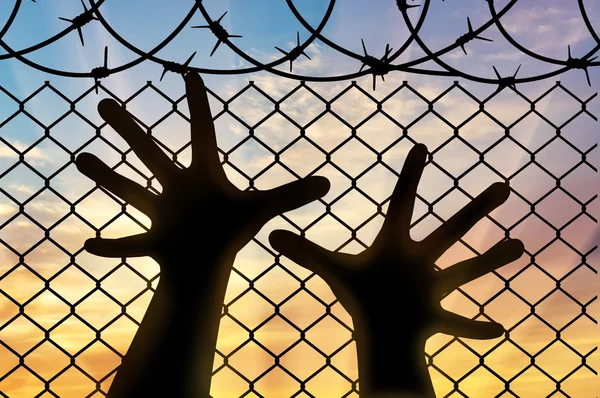 Silhouette refugee hands near the barbed wire fence