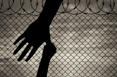 Mülteci aile kavramı