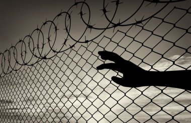 Eller mülteci yardım isterse