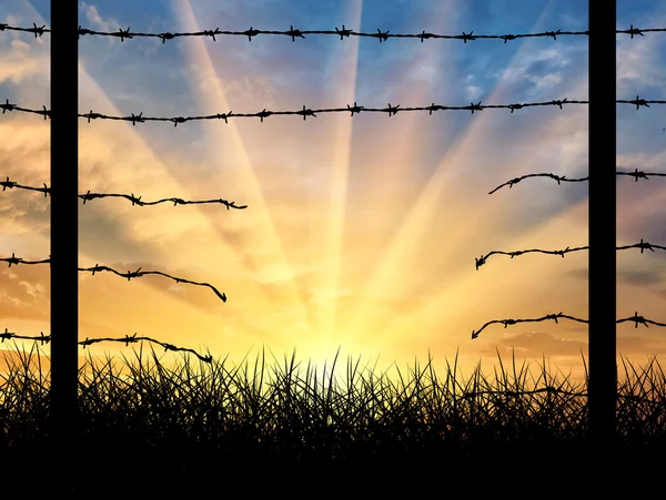 Silhouette of a broken border fence with barbed wire