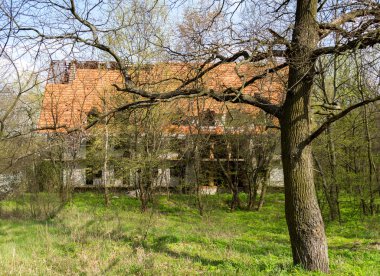 Ormanda terk edilmiş bir ev.