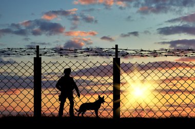 Silhouette bir asker ve bir köpek 