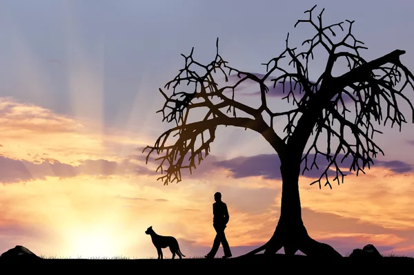 Silhouette of a man walking with a dog — Stock Photo, Image