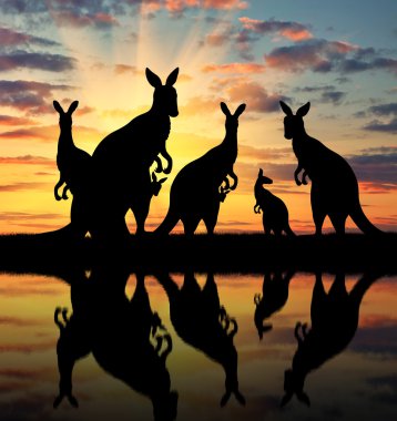 Silhouette family of kangaroos  clipart