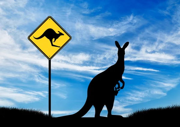 Silhouette of a kangaroo with a baby — Stock Photo, Image