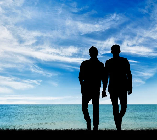 Silhouette de deux hommes gays — Photo