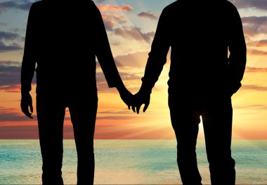 El ele tutuşarak siluet mutlu homoseksüel erkekler 