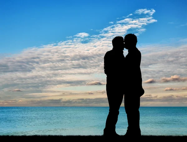 Silhouette happy gay kiss — Stock Photo, Image