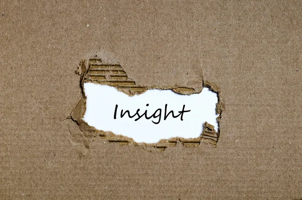 The word insight appearing behind torn paper — Stock Photo, Image