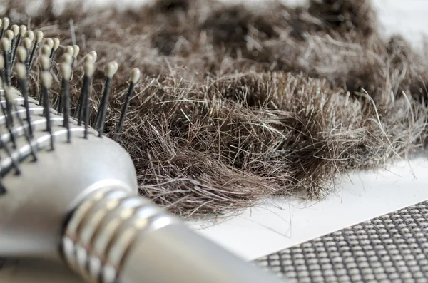 Brosse à cheveux avec cheveux — Photo