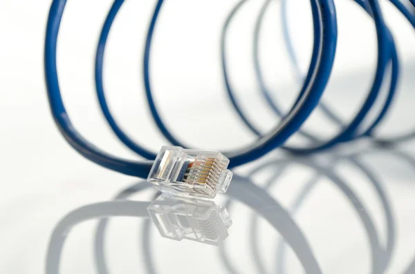 Nätverket patchcord — Stockfoto