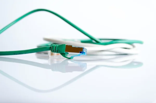 Network patchcord — Stock Photo, Image