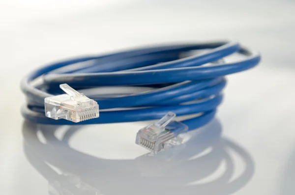 Network patchcord — Stock Photo, Image