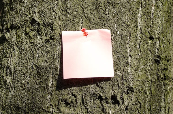 Nota pegajosa sobre el fondo del árbol — Foto de Stock