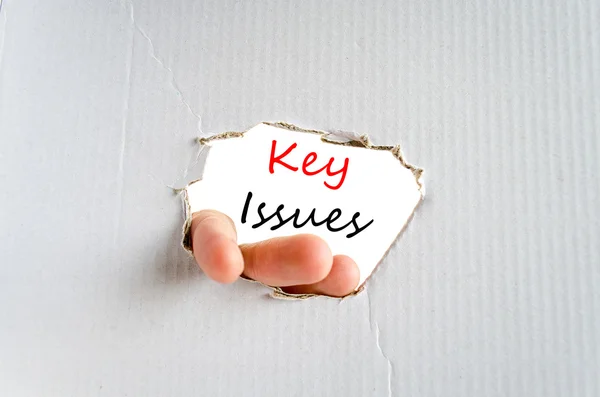 Key issues Text Concept — Stock Photo, Image