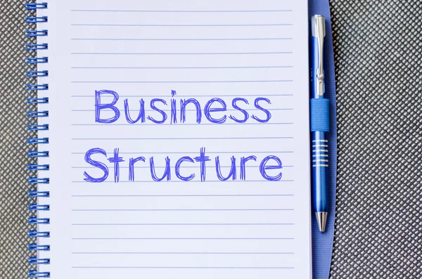 ノートブックのビジネス構造の書き込み — ストック写真