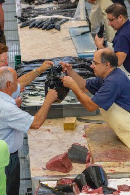 MADEIRA ADASI, PORTUGAL, GÜNLÜK, YILDIM