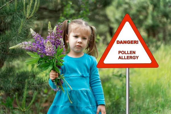 warning sign: danger pollen allergy. sad child girl with a bouquet of wildflowers. the child suffers from pollen allergy.