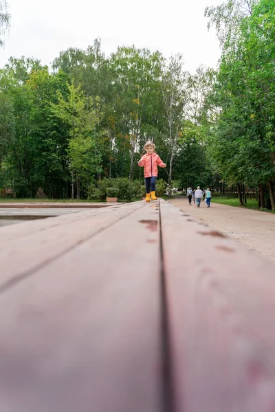 little girl walking on a wooden path in the park after the rain, copy space. Shallow depth of field