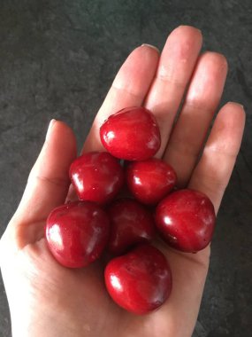 Kırmızı, bordo renkli, olgun kirazlar avucunun içinde, siyah bir masanın üstünde.