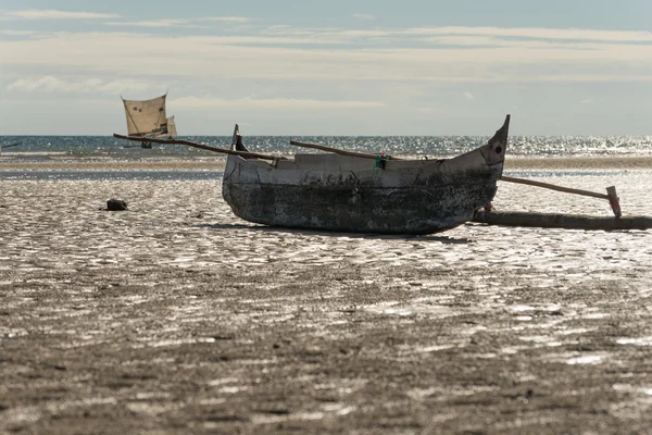 Nieuwsgierige worden — Stockfoto