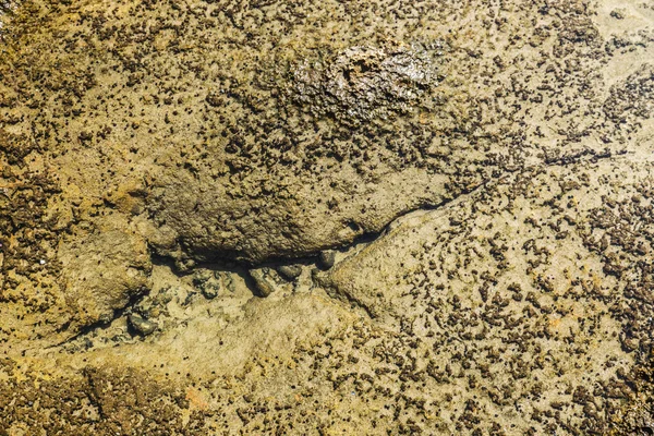 Rocas erosionadas bajo el agua — Foto de Stock