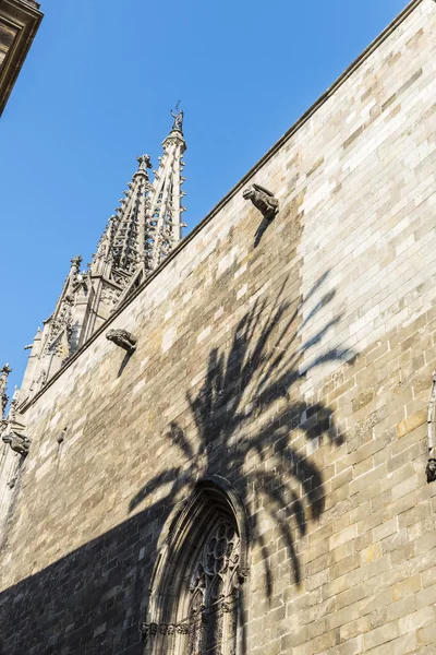 Sombra de uma palma em uma parede de pedra, Barcelona — Fotografia de Stock