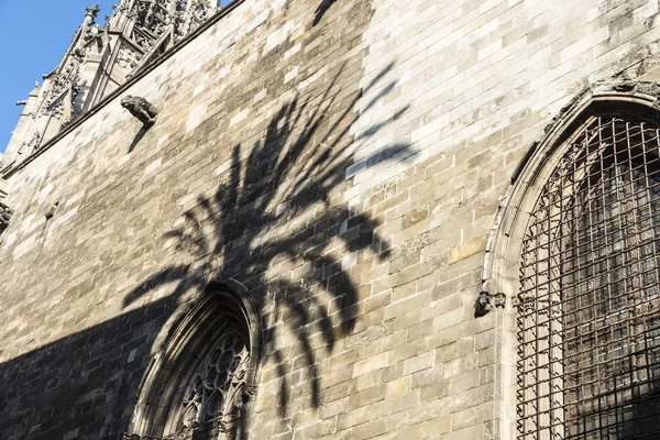 Schaduw van een palm op een stenen muur, Barcelona — Stockfoto