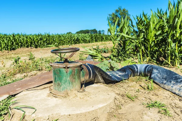 Irrigation system in a corn field — Stock Photo, Image