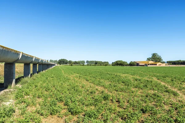 Canal de riego alto de cemento — Foto de Stock