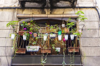 Barcelona'da birçok saksı ile balkon 