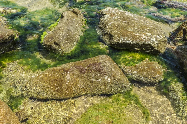 Mare cristallino con rocce, Costa Brava, Spagna — Foto Stock