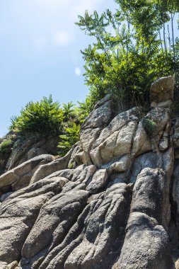 Cliff Costa Brava, Catalonia, İspanya