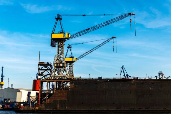 Container Cranes Port Elbe River Hamburg Germany — Stock Photo, Image