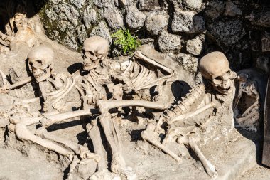 Kafatasları, iskeletleri ve kemikleri İtalya 'nın Ercolano kentindeki antik Herculaneum arkeoloji sahasının Roma kalıntılarında lavlara gömülmüş olarak bulundu.