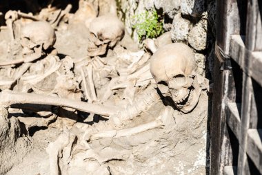 Kafatasları, iskeletleri ve kemikleri İtalya 'nın Ercolano kentindeki antik Herculaneum arkeoloji sahasının Roma kalıntılarında lavlara gömülmüş olarak bulundu.