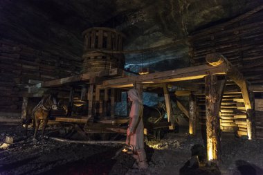Eski ahşap makara ya da vinç Wieliczka Tuz Madeni, Krakow, Polonya 'da atlar tarafından çekildi. 