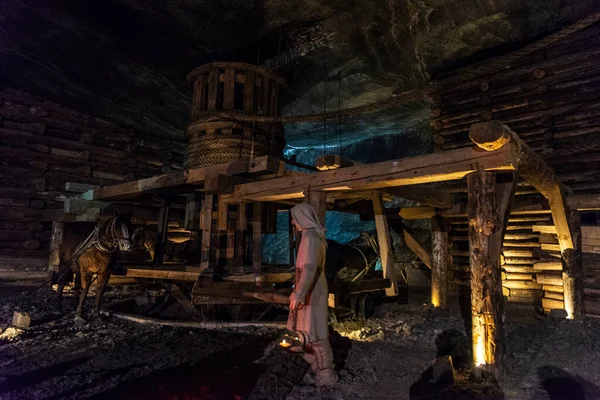 Vieja Polea Madera Grúa Tirada Por Caballos Mina Sal Wieliczka — Foto de Stock