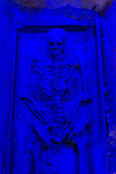 Krakow Poland August 2018 Grave Human Skeleton Rynek Underground Museum — Stock Photo, Image