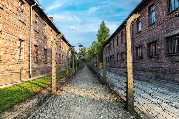 Osvětim Polsko Srpna 2018 Elektrifikovaný Plot Koncentračního Tábora Osvětim Vyhlazovací — Stock fotografie