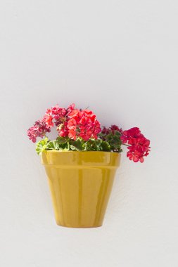 Potted geraniums, Spain clipart