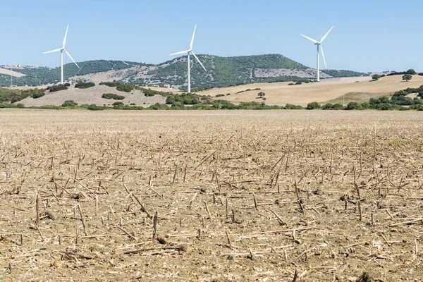 Parque eólico en España — Foto de Stock