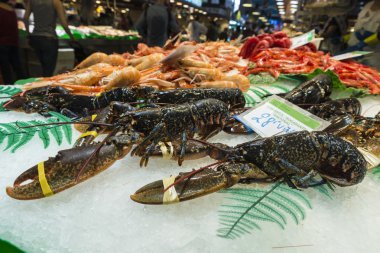 ıstakoz, karides ve karides